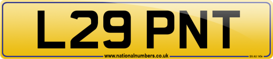 L29 PNT