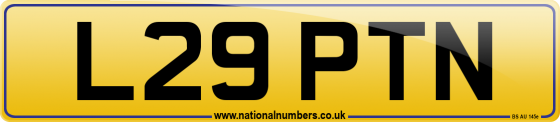 L29 PTN