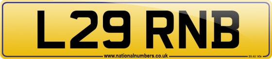 L29 RNB