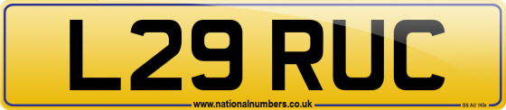 L29 RUC