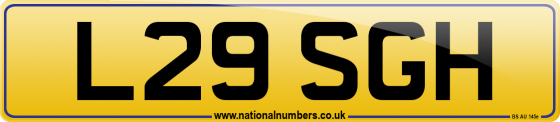 L29 SGH