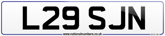 L29 SJN