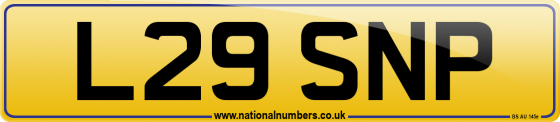 L29 SNP