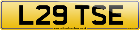 L29 TSE