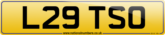L29 TSO