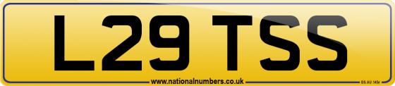 L29 TSS