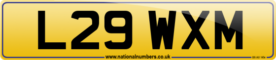 L29 WXM