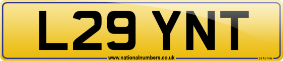 L29 YNT