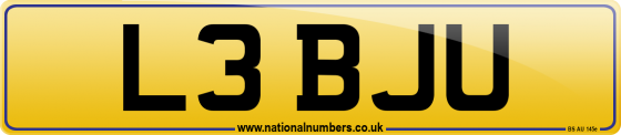 L3 BJU