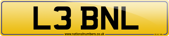 L3 BNL