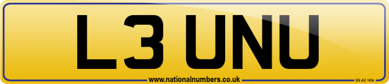 L3 UNU