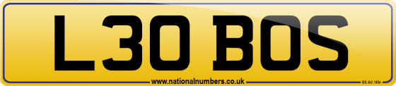L30 BOS