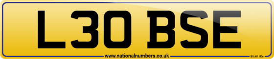 L30 BSE