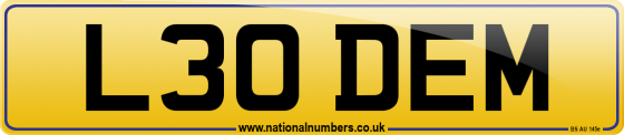 L30 DEM