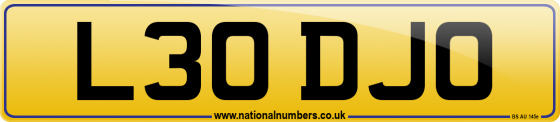 L30 DJO