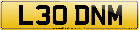 L30 DNM