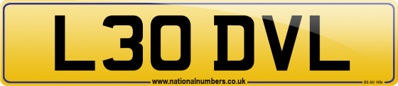 L30 DVL