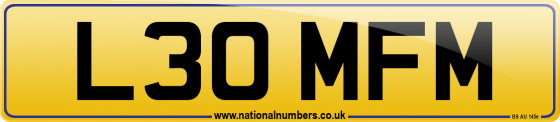 L30 MFM