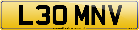 L30 MNV
