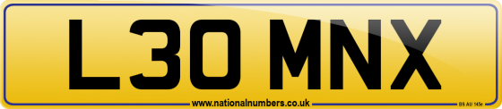 L30 MNX