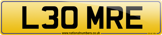 L30 MRE