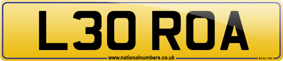 L30 ROA