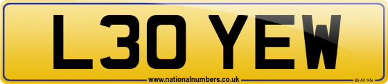 L30 YEW