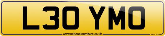 L30 YMO