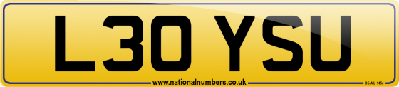 L30 YSU