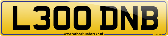 L300 DNB