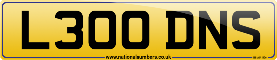 L300 DNS