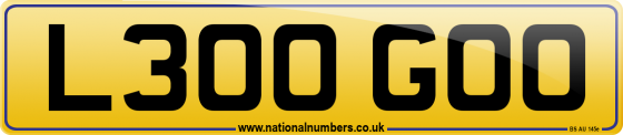 L300 GOO