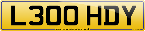L300 HDY
