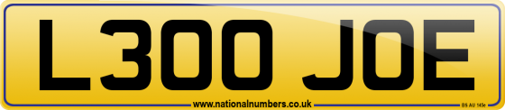 L300 JOE