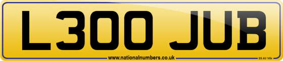 L300 JUB