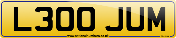 L300 JUM