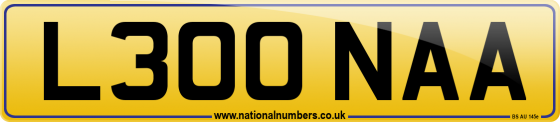 L300 NAA