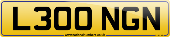 L300 NGN