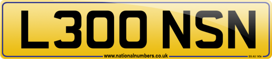 L300 NSN