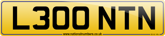 L300 NTN