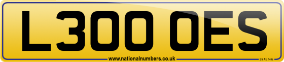 L300 OES