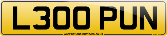 L300 PUN