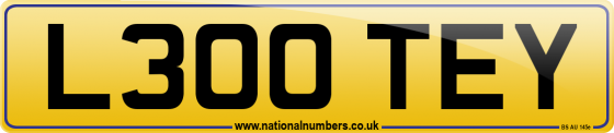 L300 TEY