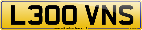 L300 VNS