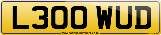 L300 WUD