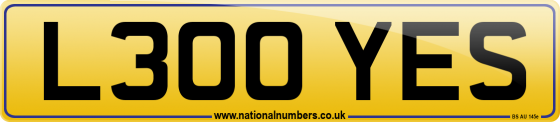 L300 YES