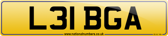 L31 BGA