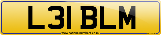 L31 BLM