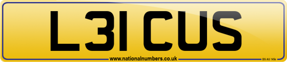 L31 CUS