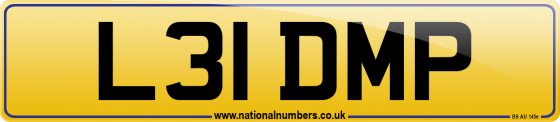 L31 DMP